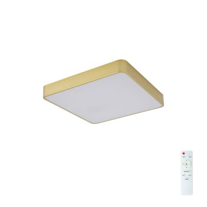 Brilagi - Plafoniera LED dimmerabile POOL LED/36W/230V 3000-6000K 40x40 cm oro + telecomando