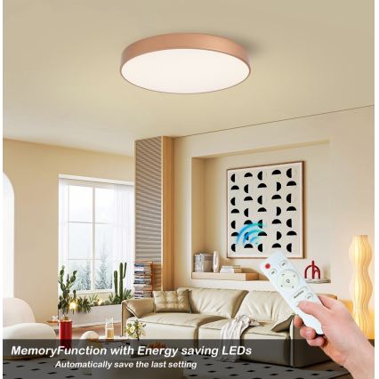 BRILAGI - Plafoniera dimmerabile POOL LED/60W/230V 3000-6000K Ø 60 cm rame + telecomando