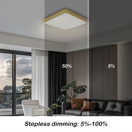 BRILAGI - Plafoniera LED dimmerabile POOL SQUARE LED/36W/230V 3000-6000K 40x40 cm oro + telecomando