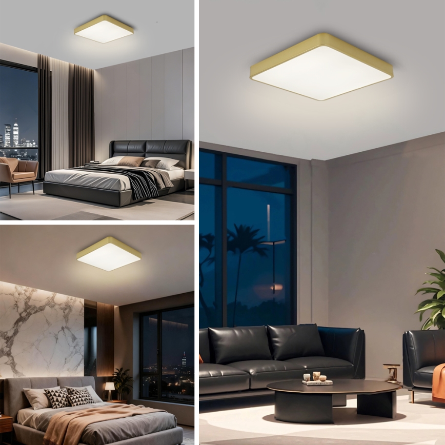 BRILAGI - Plafoniera LED dimmerabile POOL SQUARE LED/36W/230V 3000-6000K 40x40 cm oro + telecomando