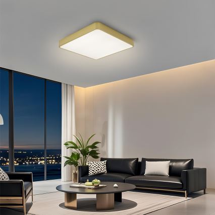 BRILAGI - Plafoniera LED dimmerabile POOL SQUARE LED/36W/230V 3000-6000K 40x40 cm oro + telecomando