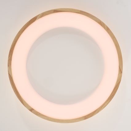 Brilagi - Lampada da soffitto LED FALCON WOOD LED/40W/230V 3000/4000/6000K diam. 60 cm in legno