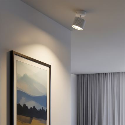 Brilagi - Faretto LED RGB+CCT dimmerabile STRIPY 1xGX53/14W/230V 2700-6500K Wi-Fi Tuya bianco