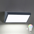 Brilagi - LED RGBW dimmerabile applique da esterno TRIANGLE 1xE27/9W/230V 2700-6500K IP65 antracite