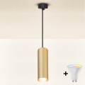 Brilagi - LED RGBW dimmerabile lampadario a sospensione su cavo SELE 1xGU10/6W/230V 3000K nero/oro + telecomando