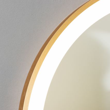 Brilagi - Specchio da bagno LED ERBA LED/25W/230V 50x80 cm dorato IP44 CRI 90 dimmerabile + CCT