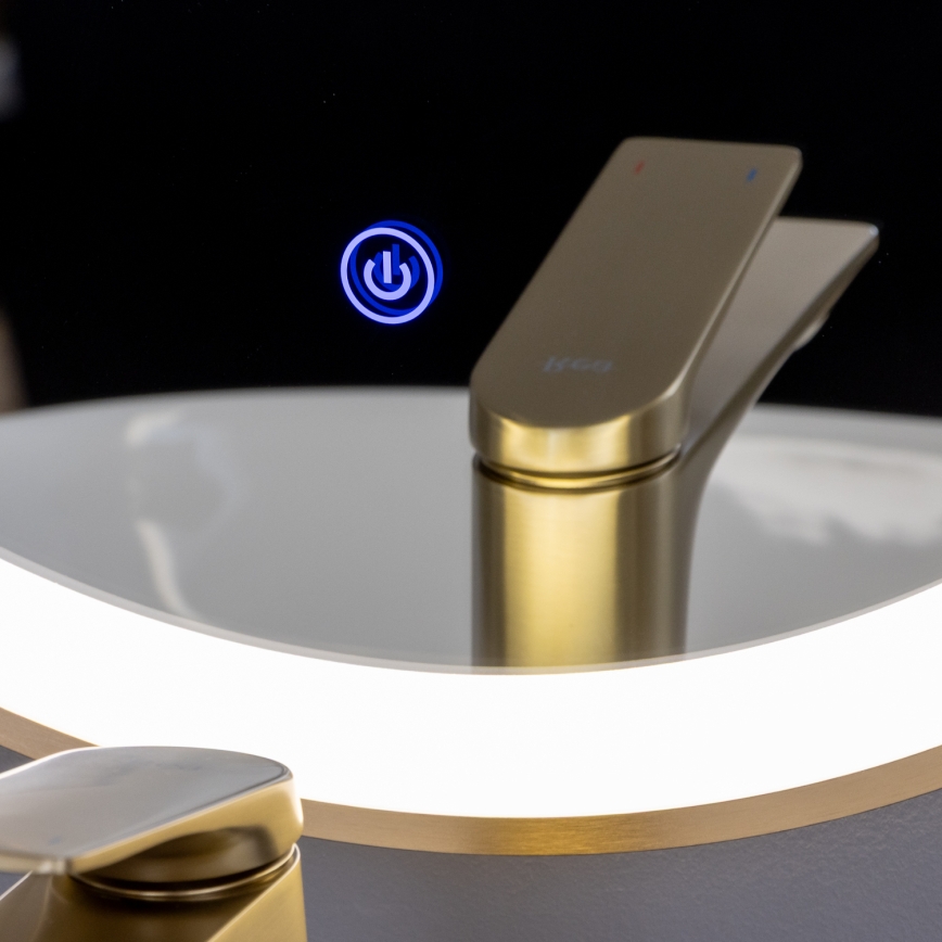 Brilagi - Specchio da bagno LED ERBA LED/25W/230V 50x80 cm dorato IP44 CRI 90 dimmerabile + CCT