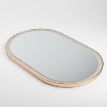 Brilagi - Specchio da bagno LED ERBA LED/25W/230V 50x80 cm dorato IP44 CRI 90 dimmerabile + CCT