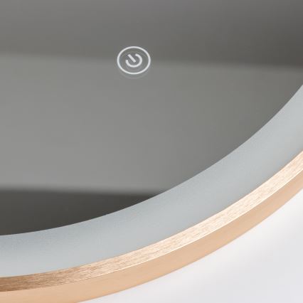 Brilagi - Specchio da bagno LED ERBA LED/25W/230V 50x80 cm dorato IP44 CRI 90 dimmerabile + CCT