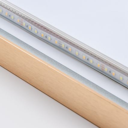 Brilagi - Specchio da bagno LED ERBA LED/25W/230V 50x80 cm dorato IP44 CRI 90 dimmerabile + CCT