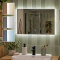 BRILAGI - LED Specchio da bagno LUCE LED/20W/230V 40x60 cm IP44 CRI 90 dimmerabile + CCT