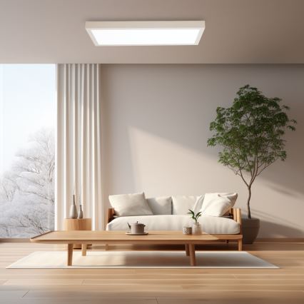 Brilagi - Plafoniera LED dimmerabile da bagno FRAME SMART LED/30W/230V 30x60 cm 3000-6000K IP44 bianco + telecomando