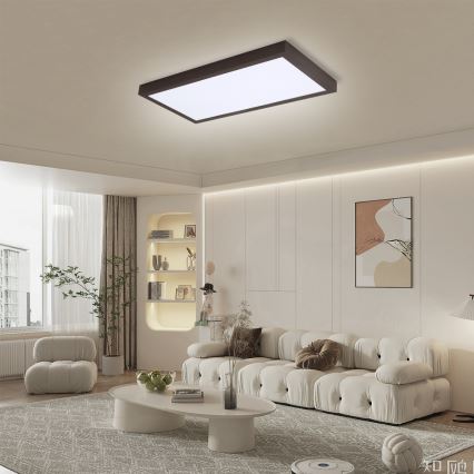 Brilagi - Plafoniera LED dimmerabile da bagno FRAME SMART LED/30W/230V 30x60 cm 3000-6000K  IP44 nero  + telecomando
