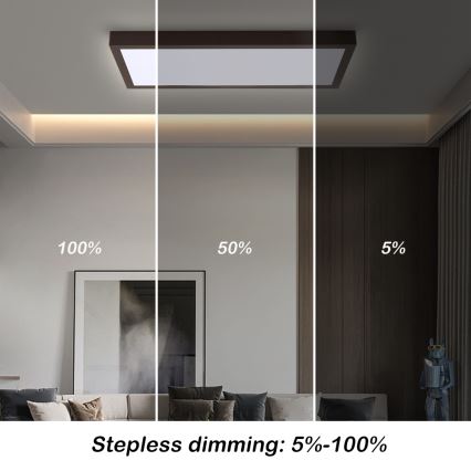 Brilagi - Plafoniera LED dimmerabile da bagno FRAME SMART LED/30W/230V 30x60 cm 3000-6000K  IP44 nero  + telecomando