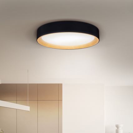 Brilagi - Plafoniera LED dimmerabile LARIOS LED/48W/230V 3000-6500K ø 39 cm nero + telecomando