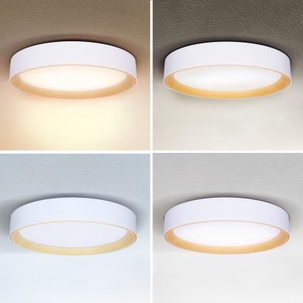 Brilagi - Plafoniera LED dimmerabile LARIOS LED/60W/230V 3000-6500K ø 49 cm bianco + telecomando