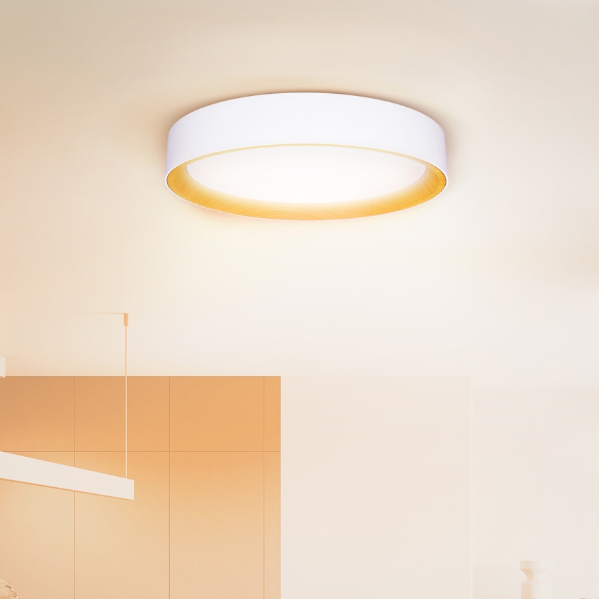 Brilagi - Plafoniera LED dimmerabile LARIOS LED/60W/230V 3000-6500K ø 49 cm bianco + telecomando