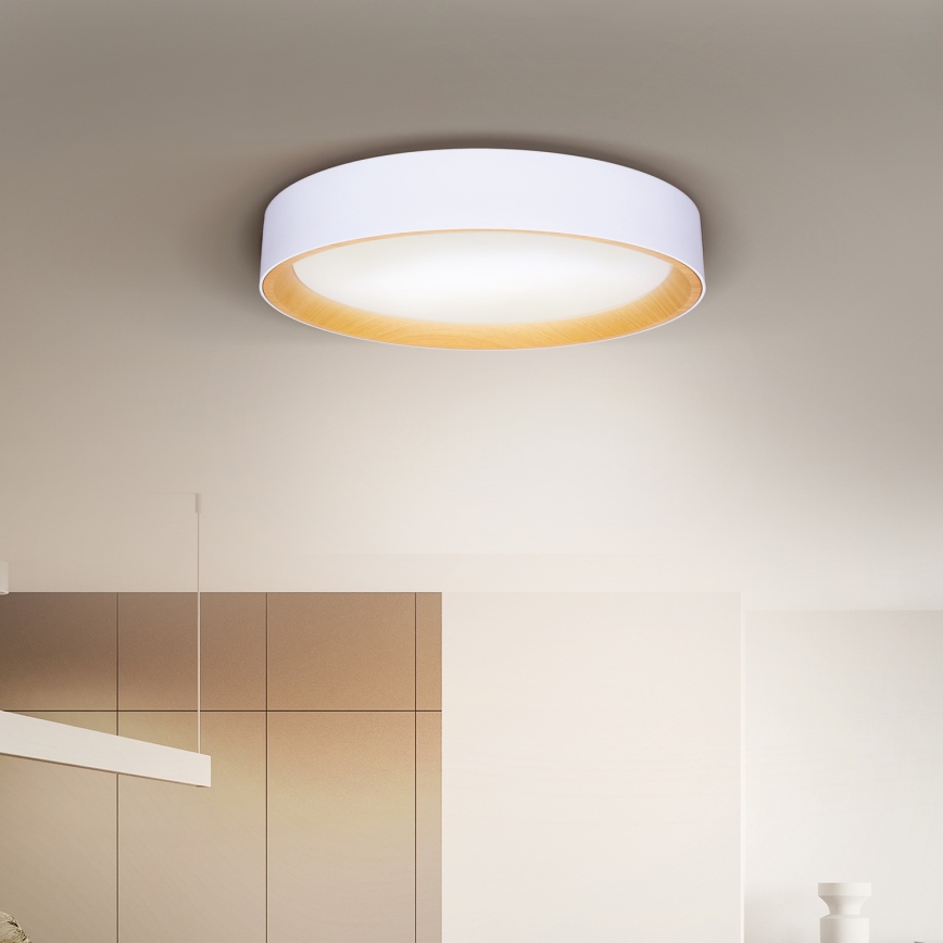 Brilagi - Plafoniera LED dimmerabile LARIOS LED/60W/230V 3000-6500K ø 49 cm bianco + telecomando