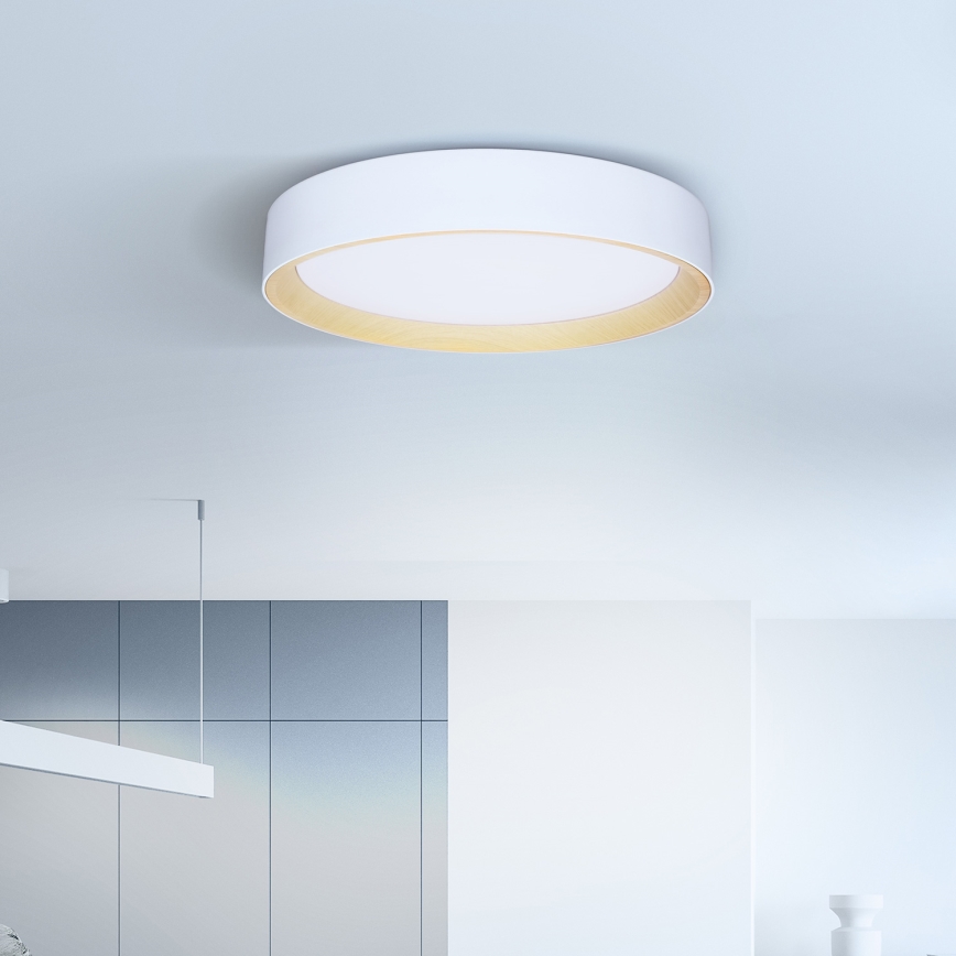 Brilagi - Plafoniera LED dimmerabile LARIOS LED/60W/230V 3000-6500K ø 49 cm bianco + telecomando