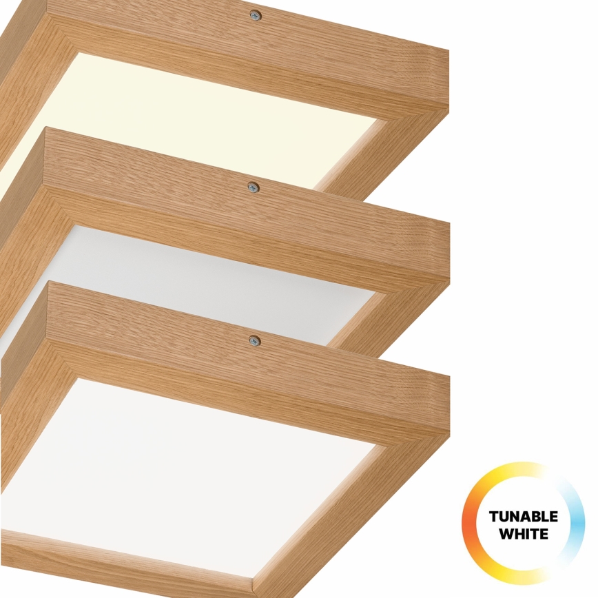 Brilagi - Plafoniera LED dimmerabile da bagno WOODY FRAME LED/24W/230V quercia 30x30 cm 3000-6000K IP44 + telecomando