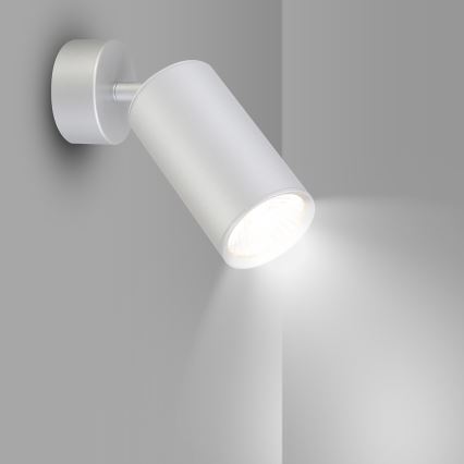 Brilagi - Luce Spot da bagno SELE 1xGU10/30W/230V IP44 argento