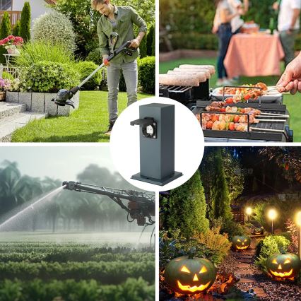 Brilagi - Multipresa verticale da esterno PILLAR 1Z SCHUKO 230V IP44 antracite