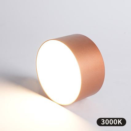 BRILAGI - Plafoniera da esterno LED FORIS LED/14W/230V Ø 12 cm finitura bronzata IP44