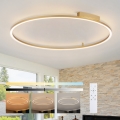 Brilagi - Plafoniera a LED dimmerabile PORTOFINO LED/85W/230V 3000-6000K Ø 120 cm oro + telecomando