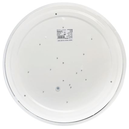 Brilagi - Plafoniera a LED MILKY WAY, 24W/230V, 3000K, diam. 38 cm