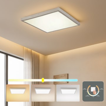 Brilagi - Plafoniera a LED per bagno FRAME LED/50W/230V 3000/4000/6000K 60x60 cm IP44 argento