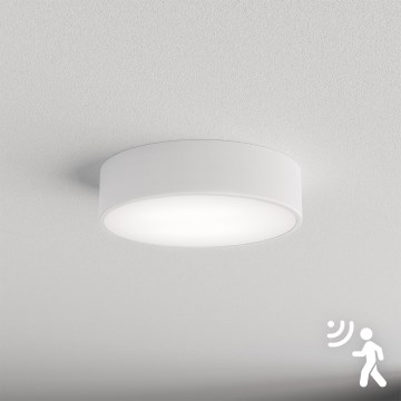 Brilagi - Plafoniera con sensore CLARE 2xE27/40W/230V diametro 30 cm bianco