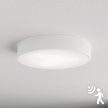 Brilagi - Plafoniera con sensore CLARE 3xE27/40W/230V diametro 40 cm bianco