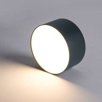 Brilagi - Plafoniera LED per bagno FORIS LED/20W/230V Ø 15 cm antracite IP44