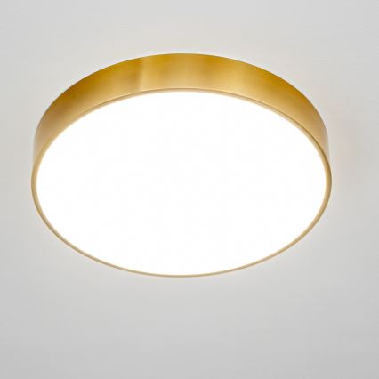 BRILAGI - LED Plafoniera per bagno POOL LED/36W/230V 3000/4000/5500K Ø 40 cm IP54 dorata