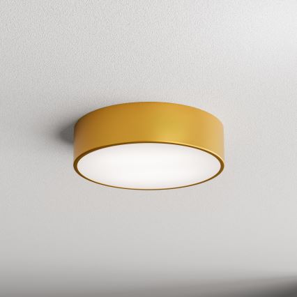 Brilagi - Plafoniera da bagno CLARE 2xE27/24W/230V diametro 30 cm IP54 oro