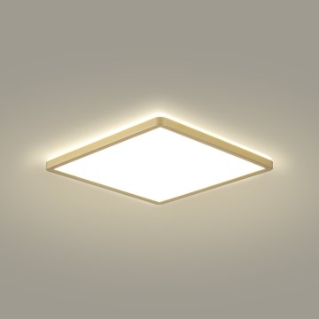 Brilagi - Plafoniera da bagno LED ULTRA SLIM 24W/230V 42x42 cm dorata IP54