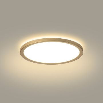 Brilagi - Plafoniera da bagno LED ULTRA SLIM LED/12W/230V Ø 22,5 cm dorata IP54