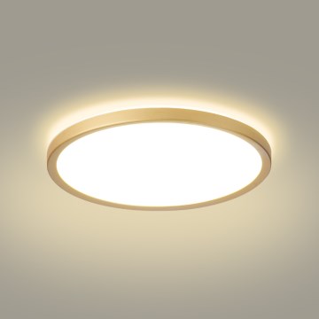 Brilagi - Plafoniera da bagno LED ULTRA SLIM LED/24W/230V Ø 42 cm oro IP54