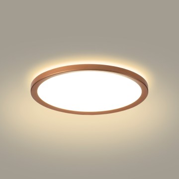 Brilagi - Plafoniera da bagno ULTRA SLIM LED/12W/230V Ø 22,5 cm oro rosa IP54