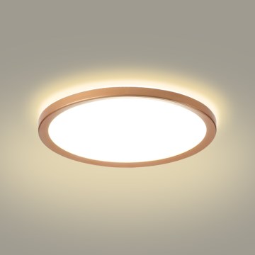Brilagi - Plafoniera da bagno ULTRA SLIM LED/24W/230V Ø 42 cm oro rosa IP54