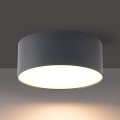 BRILAGI - Plafoniera da esterno a LED FORIS LED/20W/230V Ø 15 cm antracite IP44