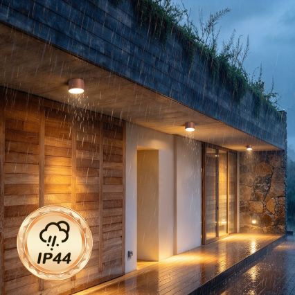 BRILAGI - Plafoniera da esterno FORIS LED/9W/230V Ø 9 cm bronzo IP44