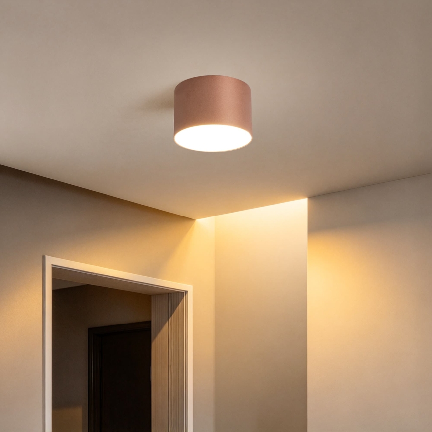BRILAGI - Plafoniera da esterno FORIS LED/9W/230V Ø 9 cm bronzo IP44