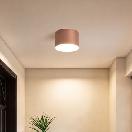 BRILAGI - Plafoniera da esterno FORIS LED/9W/230V Ø 9 cm bronzo IP44