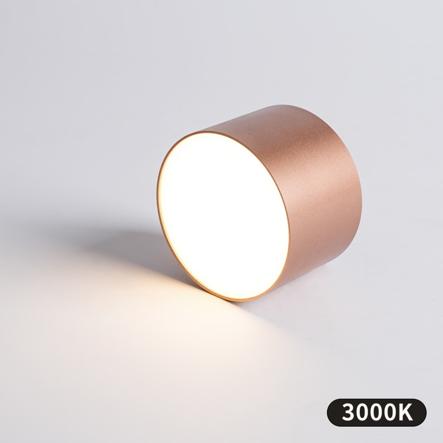 BRILAGI - Plafoniera da esterno FORIS LED/9W/230V Ø 9 cm bronzo IP44