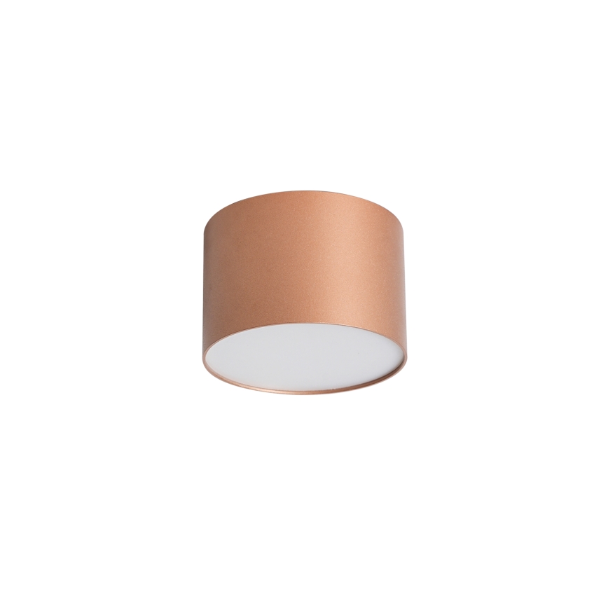 BRILAGI - Plafoniera da esterno FORIS LED/9W/230V Ø 9 cm bronzo IP44