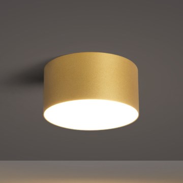 BRILAGI - Plafoniera da esterno LED FORIS LED/14W/230V Ø 12 cm dorata IP44