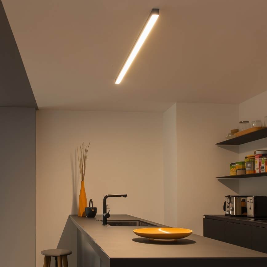 Brilagi - Plafoniera a montaggio superficiale FULLDAY LED/30/40/50W/230V 2700/4000/6000K 150 cm nero