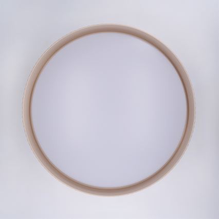 Brilagi - Plafoniera LED dimmerabile LUCIA LED/60W/230V 3000-6500K Ø 59 cm beige + telecomando