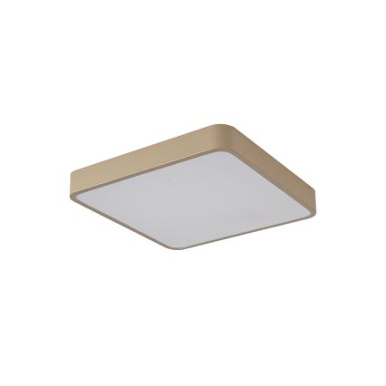 Brilagi - Plafoniera da soffitto LED POOL 48W/230V 3000/4500/6000K 50x50 cm beige